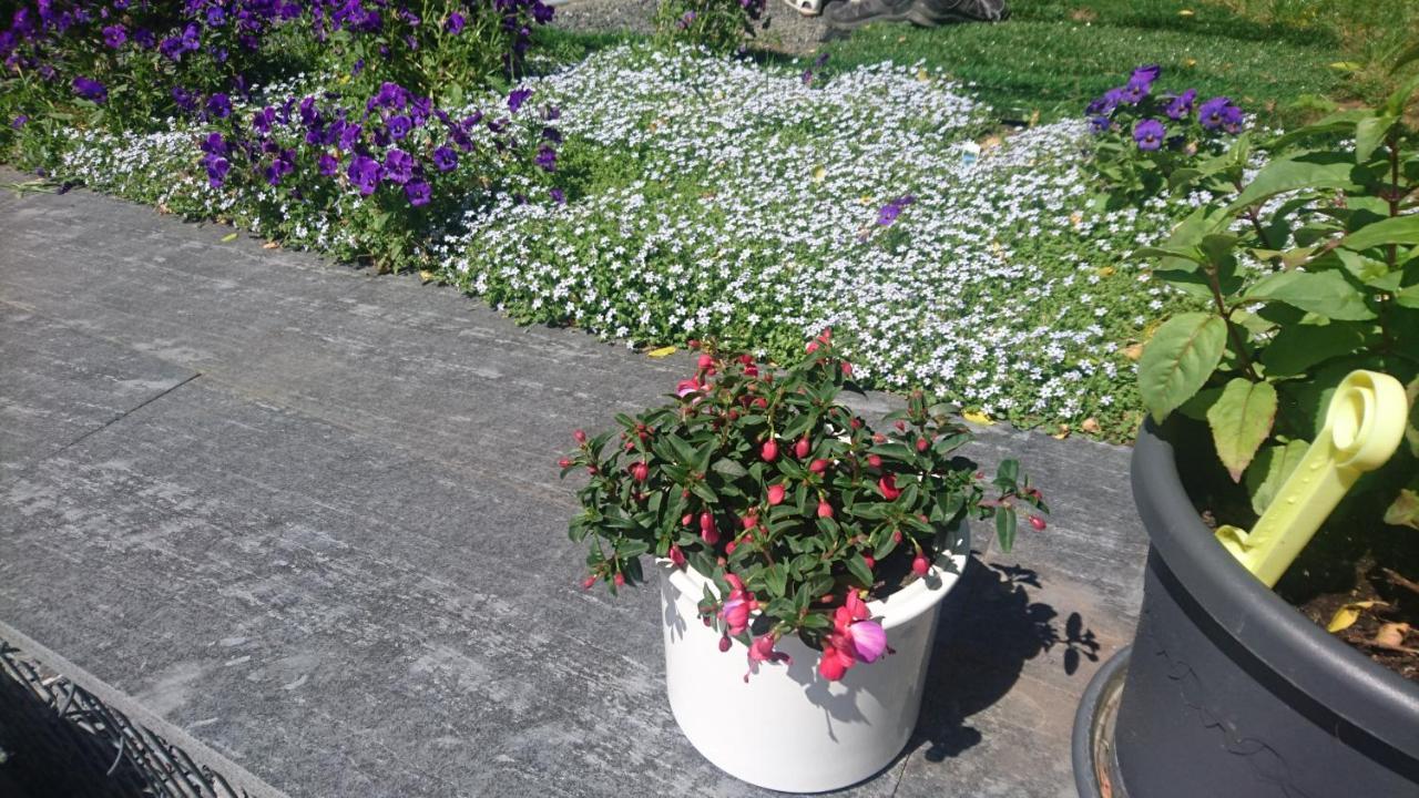 Ferienwohnung Mit Garten Und Spielplatz Клингенталь Экстерьер фото